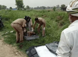 Police during murder case