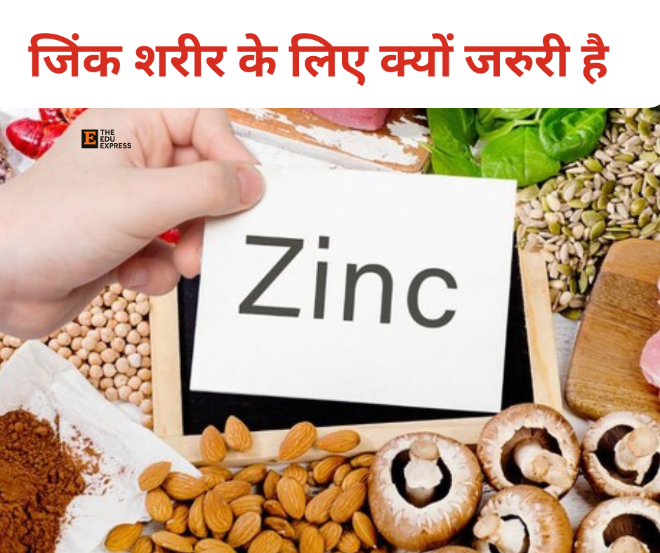 जिंक शरीर के लिए क्यों जरुरी है